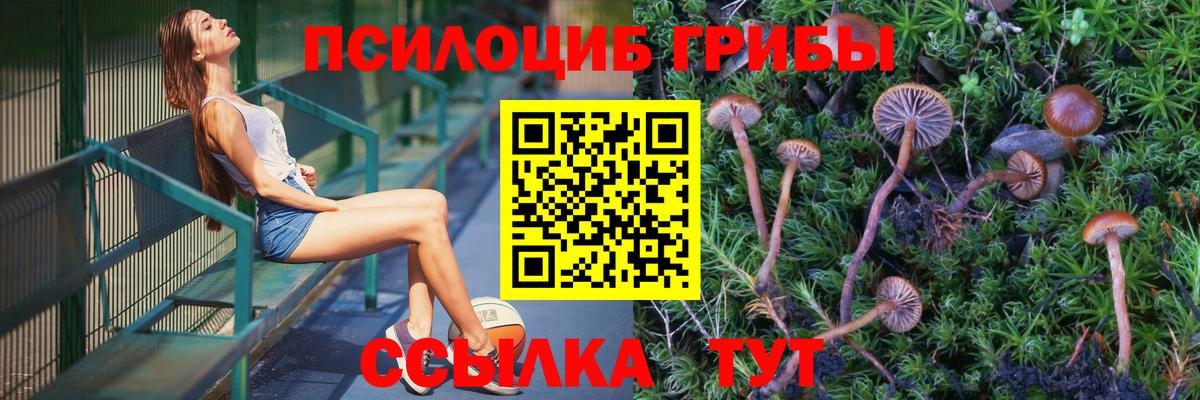 цены наркотик  Псилоцибиновые грибы MAGIC MUSHROOMS  Вход с VPN  Галлюциногенные грибы Psilocybine cubensis  Жигулёвск 