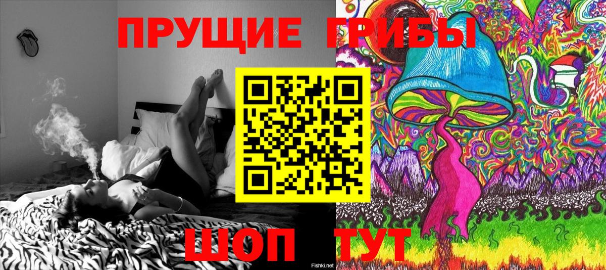 Галлюциногенные грибы Psilocybine cubensis Жигулёвск